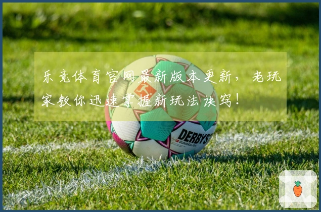 乐竞体育官网最新版本更新，老玩家教你迅速掌握新玩法诀窍！