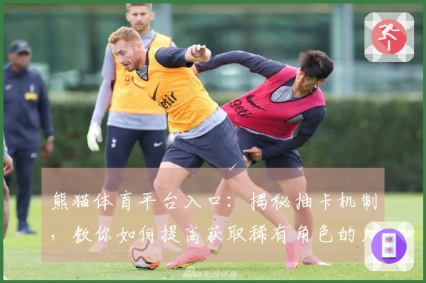 熊猫体育平台入口：揭秘抽卡机制，教你如何提高获取稀有角色的几率