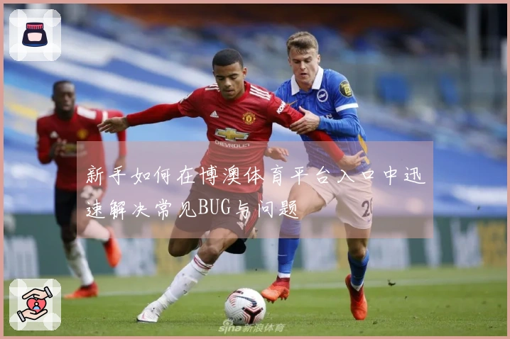 新手如何在博澳体育平台入口中迅速解决常见BUG与问题